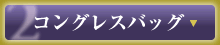 コングレスバッグ