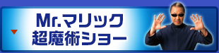 Mr.マリック　超魔術ショー