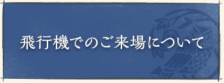 飛行機でのご来場について