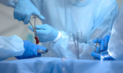 臨床医学の教育及び研究における死体解剖のガイドライン